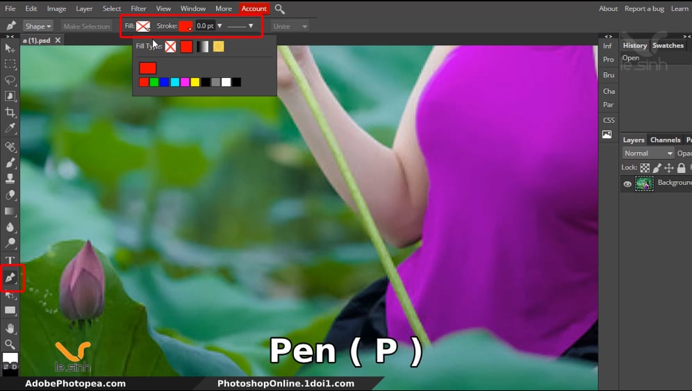 pen (p) cuts the image from the background